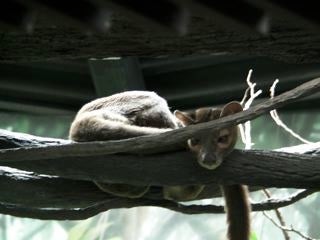 SANY0274.jpg
