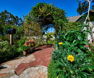 Experience the beautiful Leu Gardens this spring. Photo by Brandon Dodrill@Visit Orlando.com