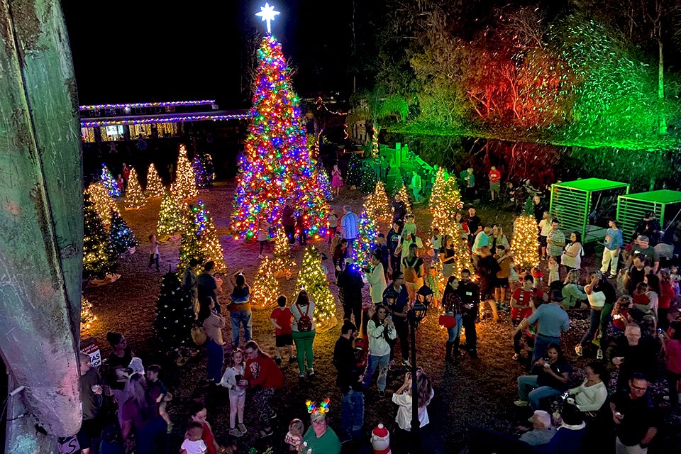 Winter Wonderland at Wekiva Island is back with a supersized Christmas tree, snow flurries, Christmas lights, Santa, and more! Photo courtesy Wekiva Island