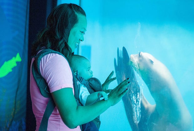 Affordable Family Vacations on the East Coast: Mystic Aquarium.