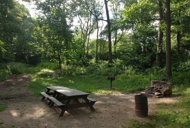 A bbq area at Ally Pond Park