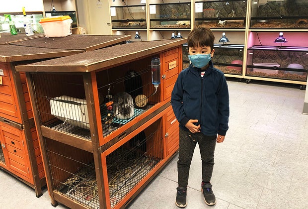 boy in environmental center with animals