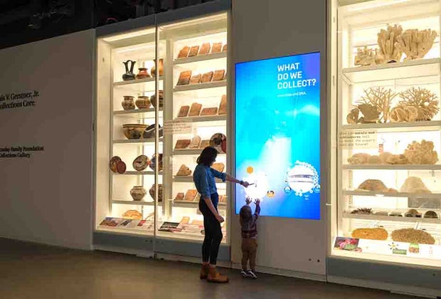 Gilder Center Set to Open at AMNH: Macaulay Family Foundation Collection Galleries