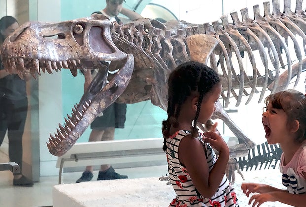 Things to do with preschoolers in NYC: A visit to the American Museum of Natural History