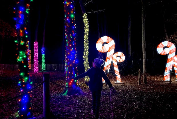 Wide view of the lights at The Village at Anne Ellen