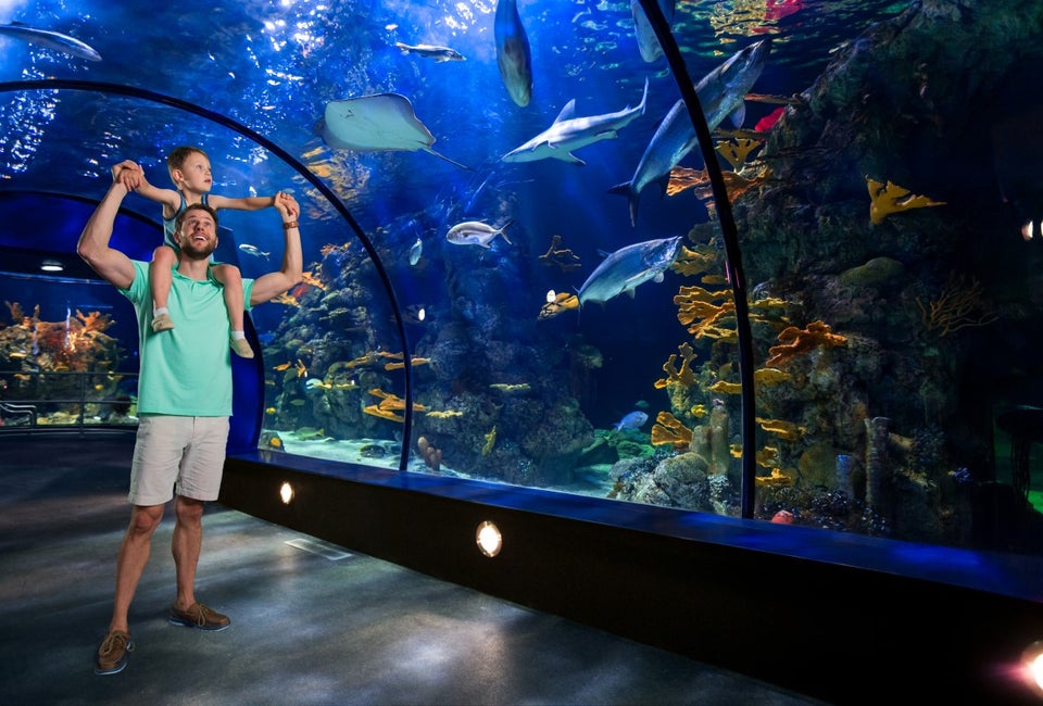Moody Gardens with Kids