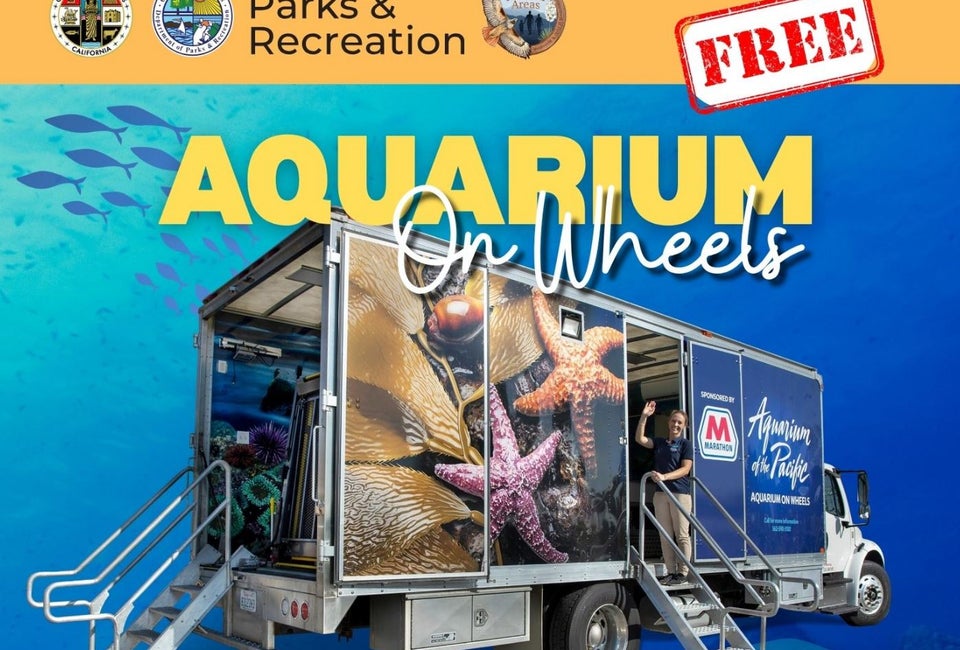 Aquarium on Wheels
