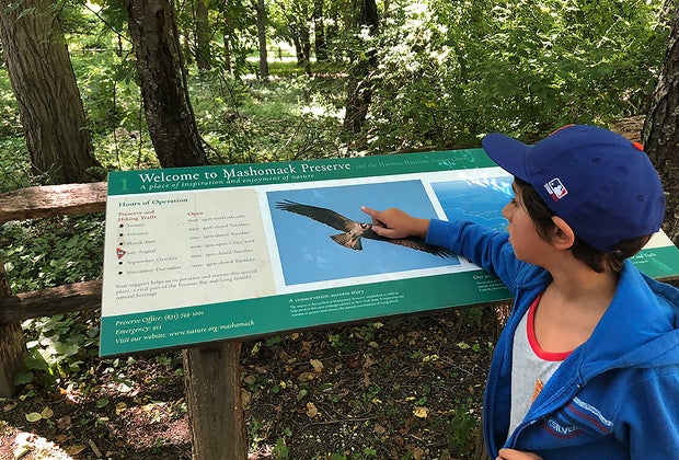 Mashomack Preserve: Shelter Island With Kids