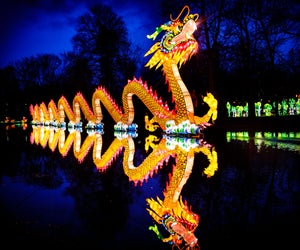 Thrill to the pageantry of the Asian Lantern Festival. Photo courtesy of Central Florida Zoo