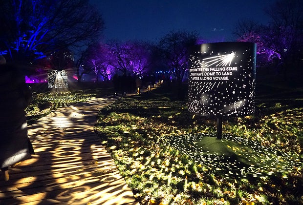 Astra Lumina at the Queens Botanical Garden: Falling Stars installation