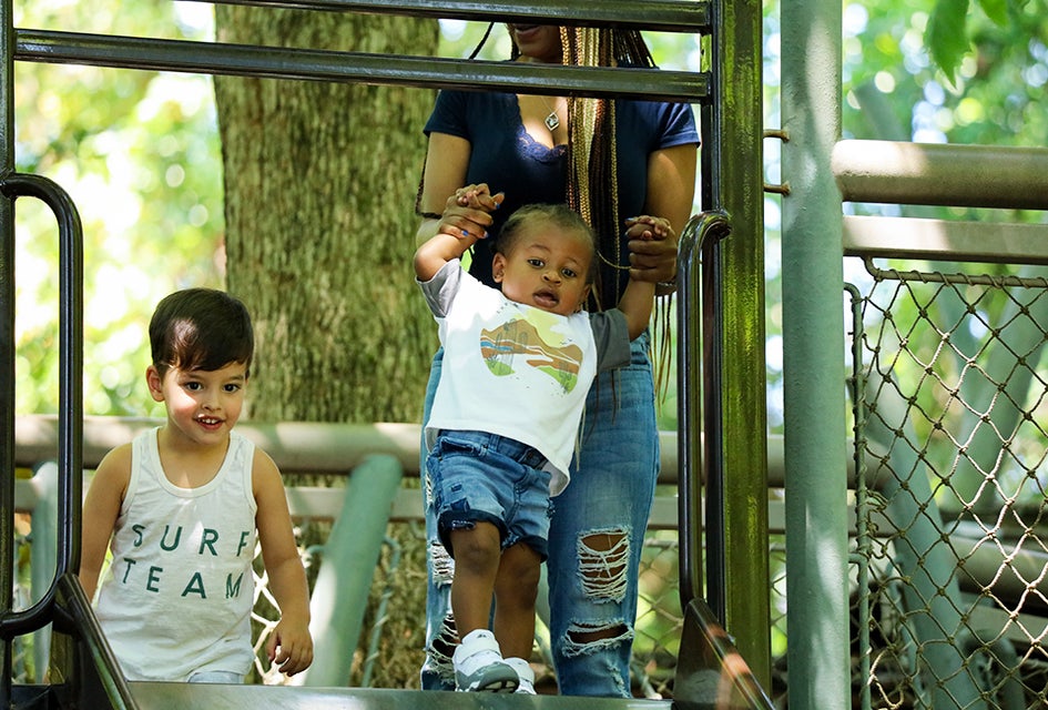 Experience an adventure on the slides at the Atlanta Botanical Garden. Photo courtesy of ABG