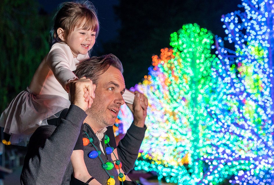 25 Things We Are Excited To Do in Atlanta with Kids This Winter Garden Lights, Holiday Nights at the Atlanta Botanical Garden is a magical winter spot. Photo courtesy of the garden