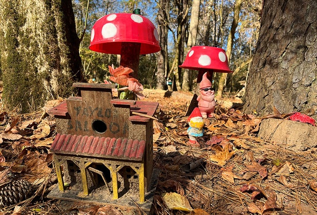 Hanging at Halcyon: Fairy Village at Big Creek Greenway