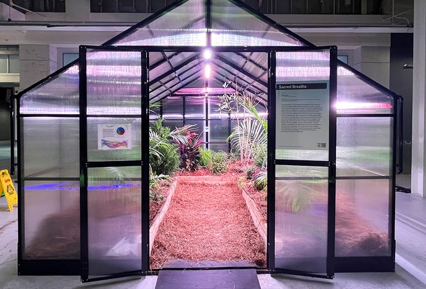 Kid-Friendly Science Museums in Atlanta : Science Gallery Atlanta greenhouse for forest bathing