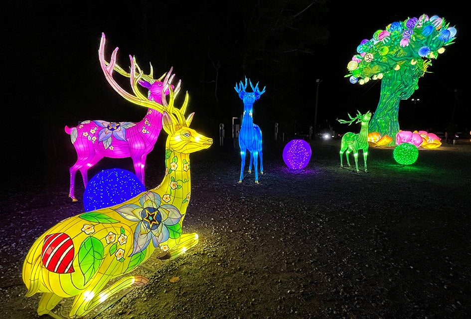 Christmas Vacation in Atlanta: 50 Staycation Ideas for Things to Do With Kids Head to the Gwinnett County Fairgrounds to walk through an outdoor maze of over 1,000 illuminated Chinese lanterns at the Winter Lantern Festival. Photo by Rebecca Ruffin Leffler