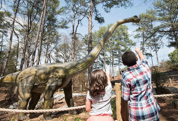 Step back in time to the age of the dinosaurs at Stone Mountain.