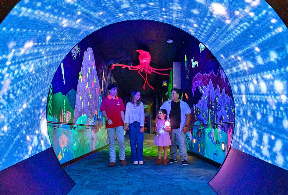 The ocean comes alive after dark at Glow Nights at the Georgia Aquarium this summer. Photo courtesy of the aquarium