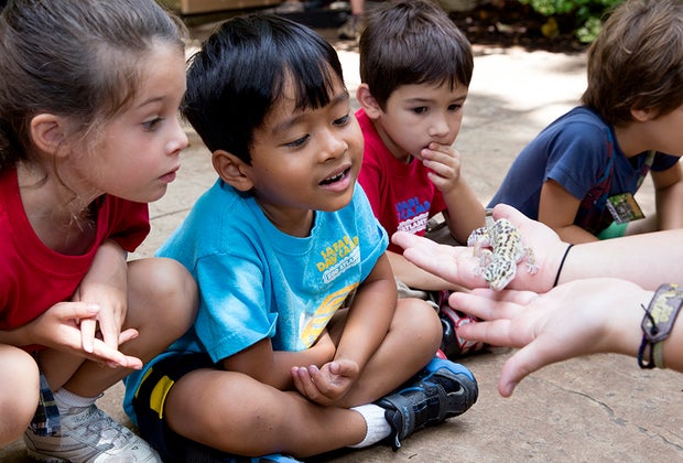 The Best Things to Do and See at Zoo Atlanta with Kids: reptiles