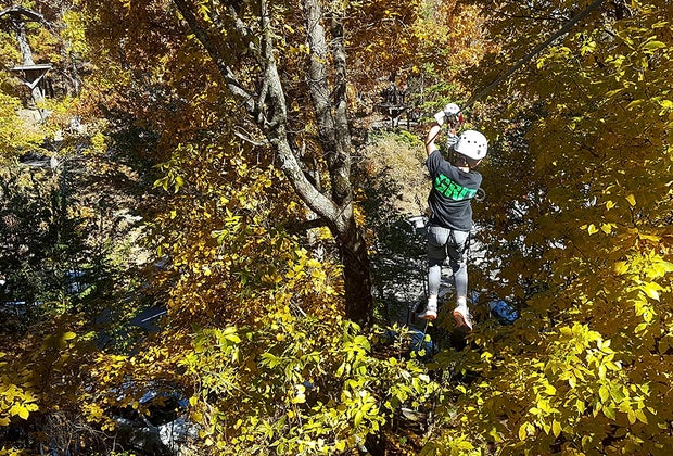 Screaming Eagle Adventures at Amicalola Falls State Park