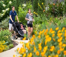 Spend the day outdoors amongst the flowers at Atlanta Botanical Garden. Photo courtesy of the garden