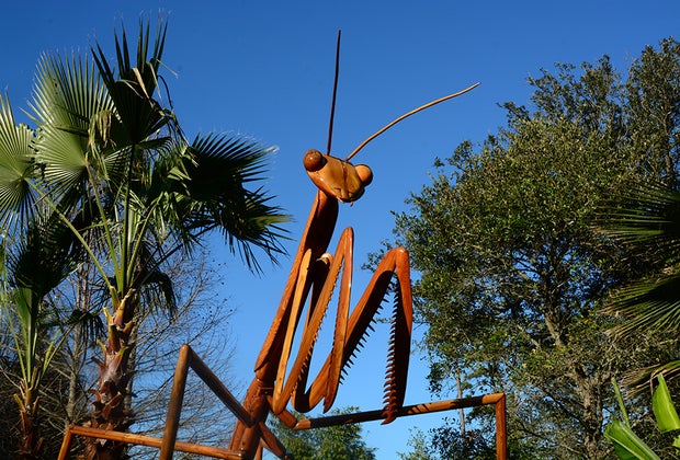 100 Fun Things To Do in Atlanta with Kids Before They Grow Up: : Fernbank Museum