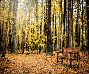 Autumn at Tower Hill Botanic Garden. Photo by Troy Thompson