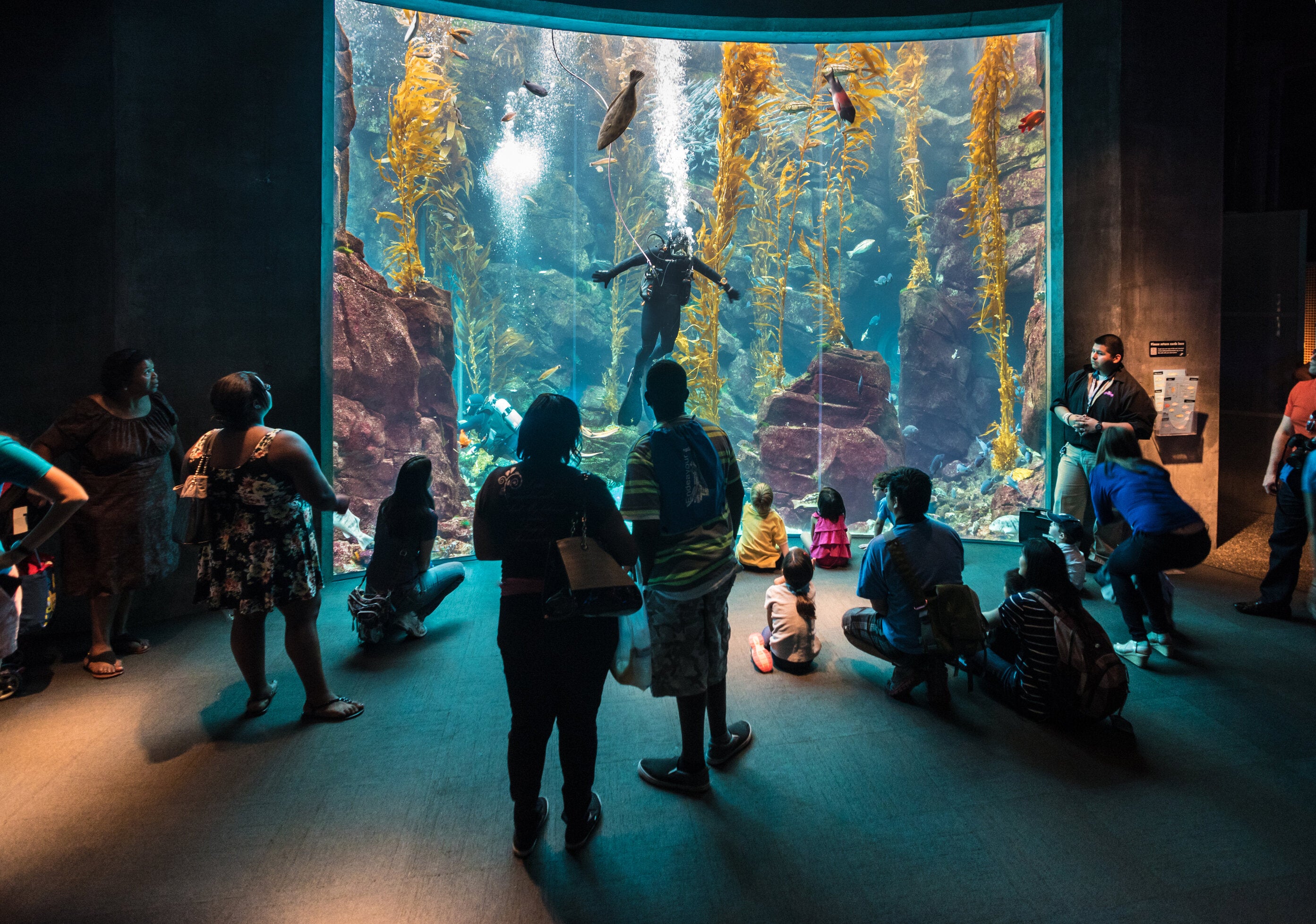 Dive into science! Photo by (c) Jonathan Selig 2025, courtesy of California Science Center
