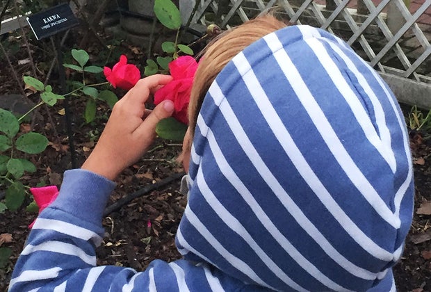 Cranford Rose Garden at Brooklyn Botanic Gaden