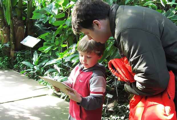 Free things to do: Visit the Brooklyn Botanic Garden