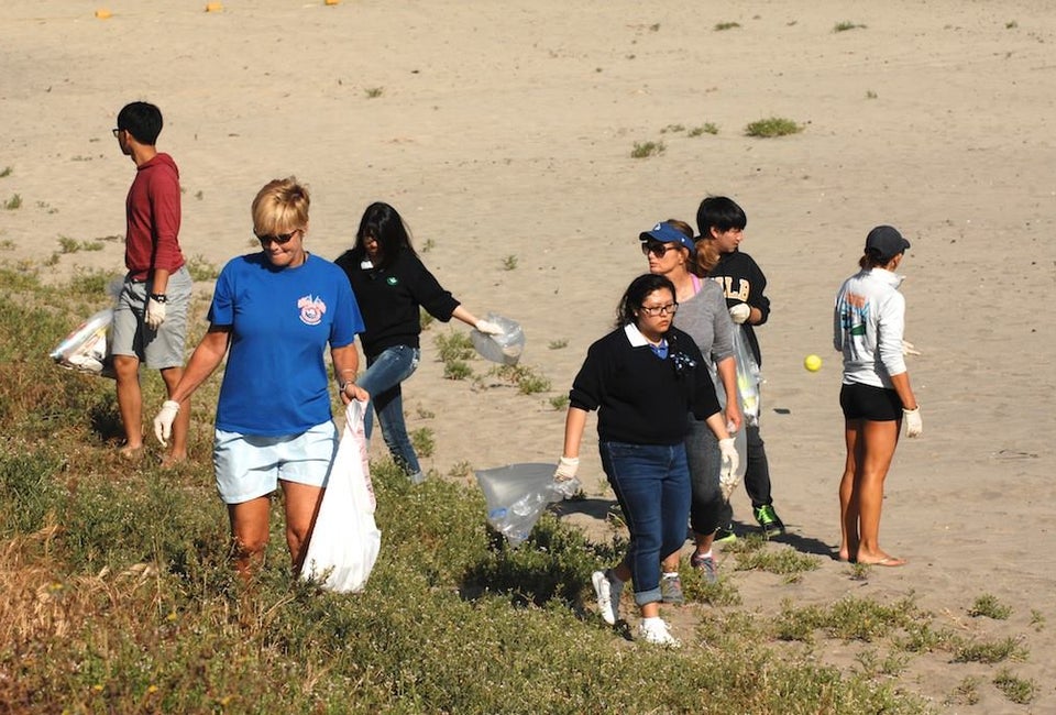 Beach Cleanup