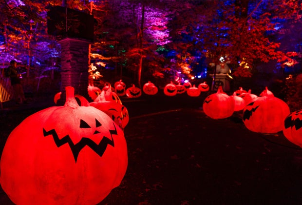 The Nightmare Before Christmas Light Trail at NYBG: Pumpkins line the trail