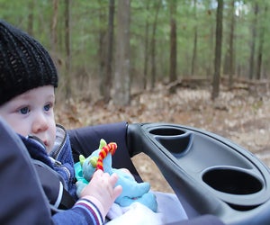 Winter, spring, summer, or fall, Belmont Lake State Park offers a delightful stroll with baby.