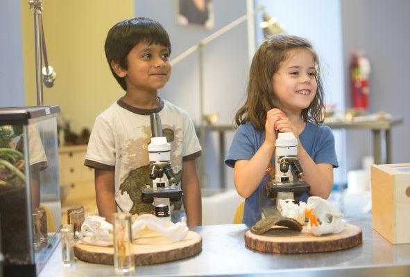 STEM Fest at Bright Horizons