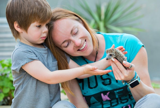 animal petting birthday party hedgehog