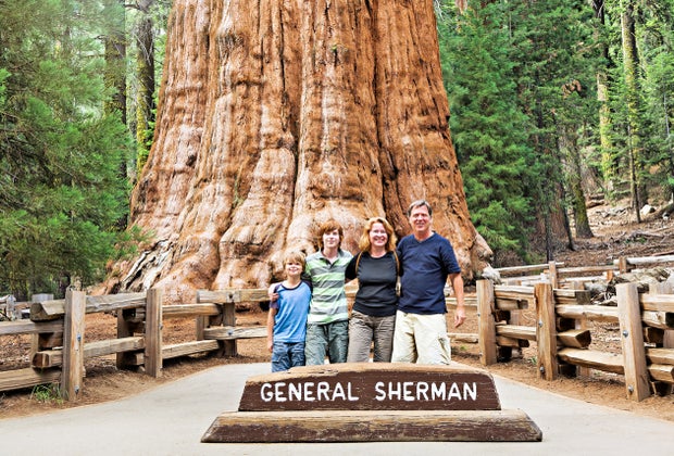 Ultimate California Bucket List: 100 Things To Do With Kids in CA: Sequoia National Park