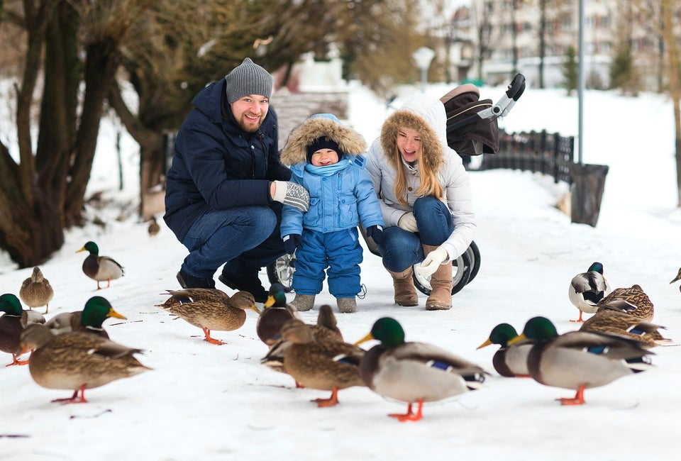 11 Things to Do with Your Boston Baby this Winter