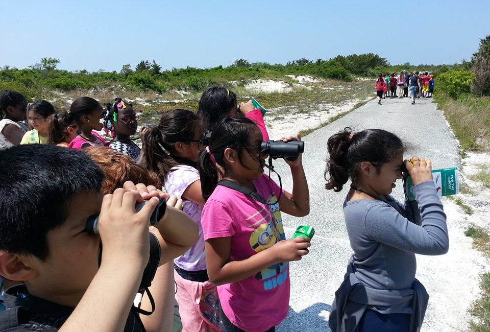 Bird Watching with Long Island Kids