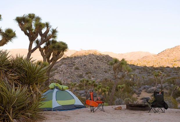Joshua Tree Airbnbs, Hotels, and Campgrounds for Families: Black Rock Campground