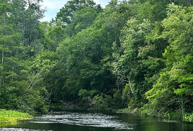 This is actually the lagoon from "The Creature from the Black Lagoon".