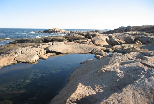 Image of tidal pools beside the ocean in Narragansett, RI.