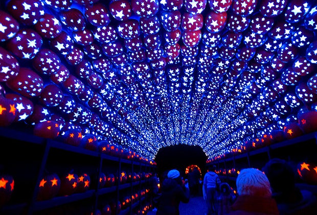 The Great Jack-o'Lantern Blaze Hudson Valley: Pumpkin tunnel