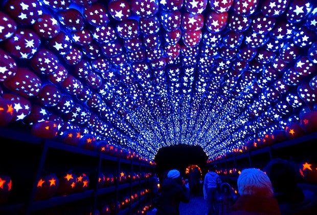 The Great Jack-o'Lantern Blaze Hudson Valley: Pumpkin tunnel