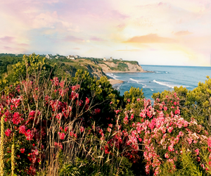 Wander the trails near the cliffs  on Block Island. 
