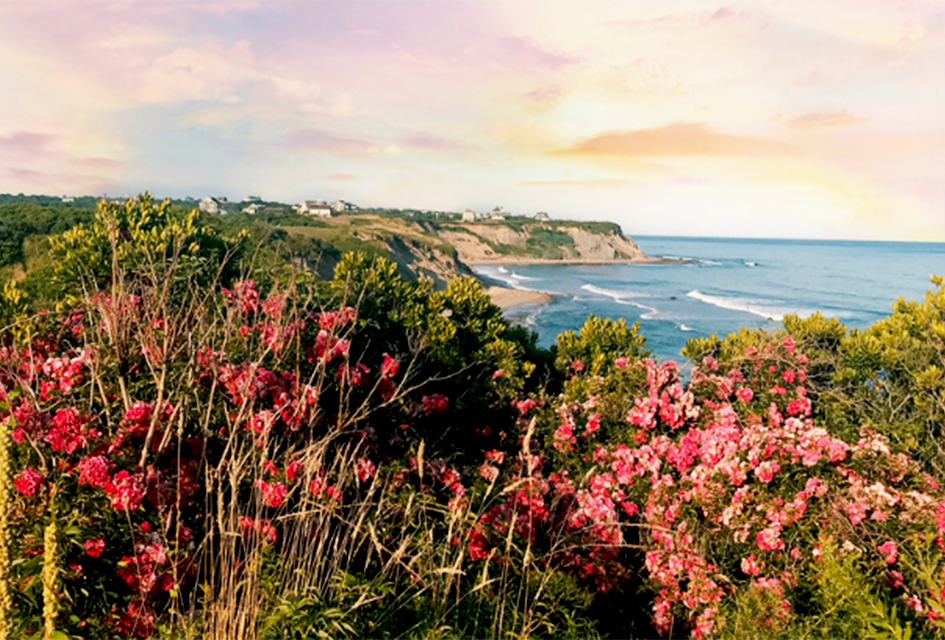 20 Fun Things To Do on Block Island, RI, with Kids Wander the trails near the cliffs on Block Island.