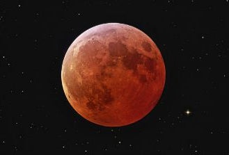 Weekend Fun for LA Kids: Blood Moon, Museum Day, and Abbot Kinney September 26 - 27