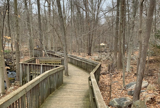 Stamford Museum & Nature Center boardwalk