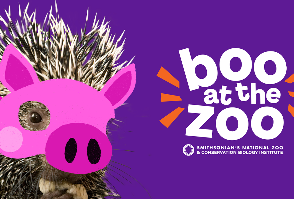 Boo at the Zoo at the National Zoo