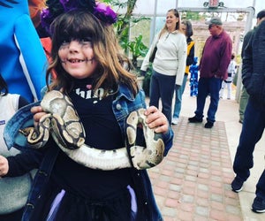 Boo at the Zoo. Photo by Ally Noel