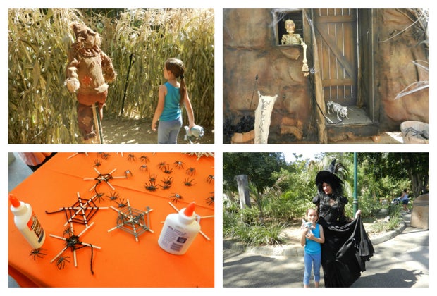 Photo ops, spooky decorations and crafty activities throughout the zoo