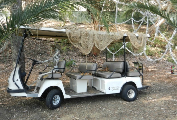 Looks like someone took a wrong turn at the Brachiosaurus...